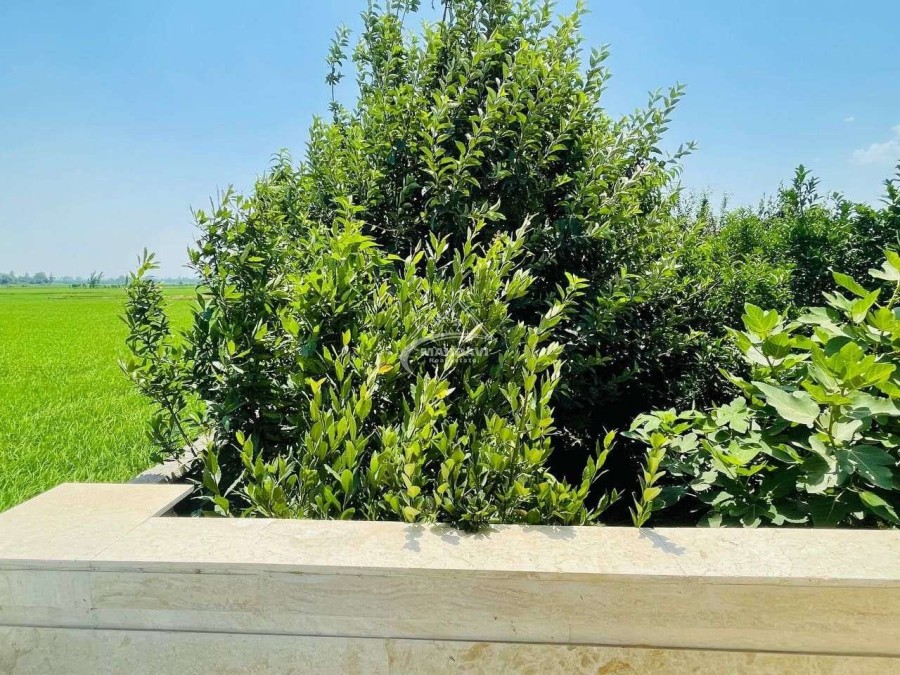 خرید ویلا نما کلاسیک در محمود آباد با وان جکوزی